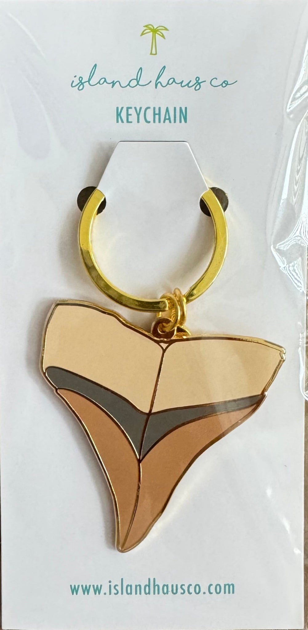 Shark Tooth Keychain