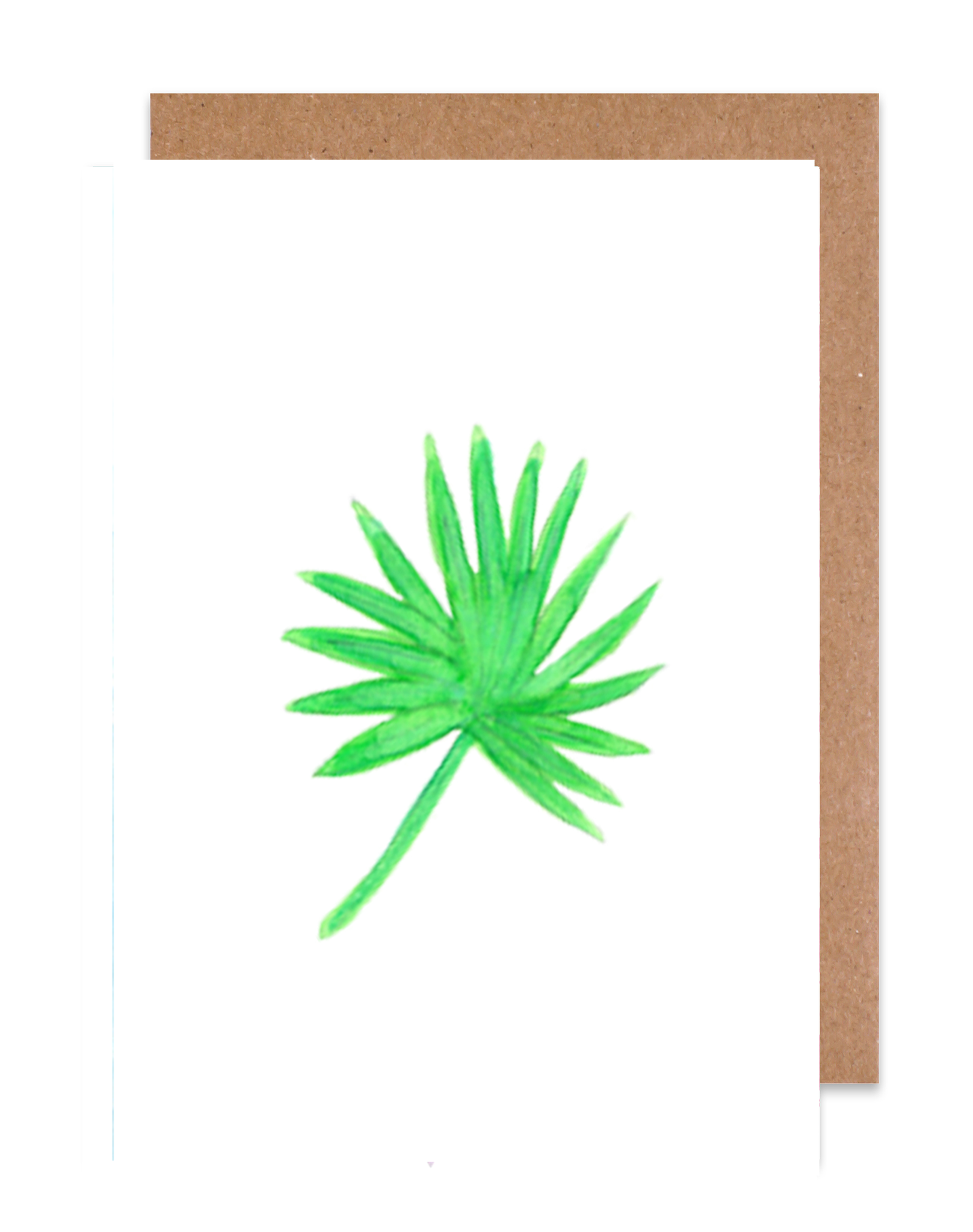 Green Palm Card Box Set